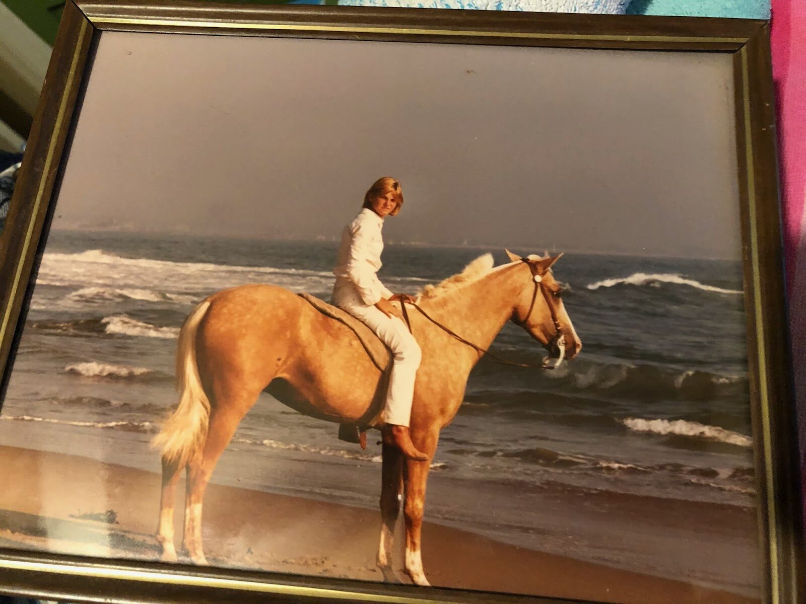 HORSE